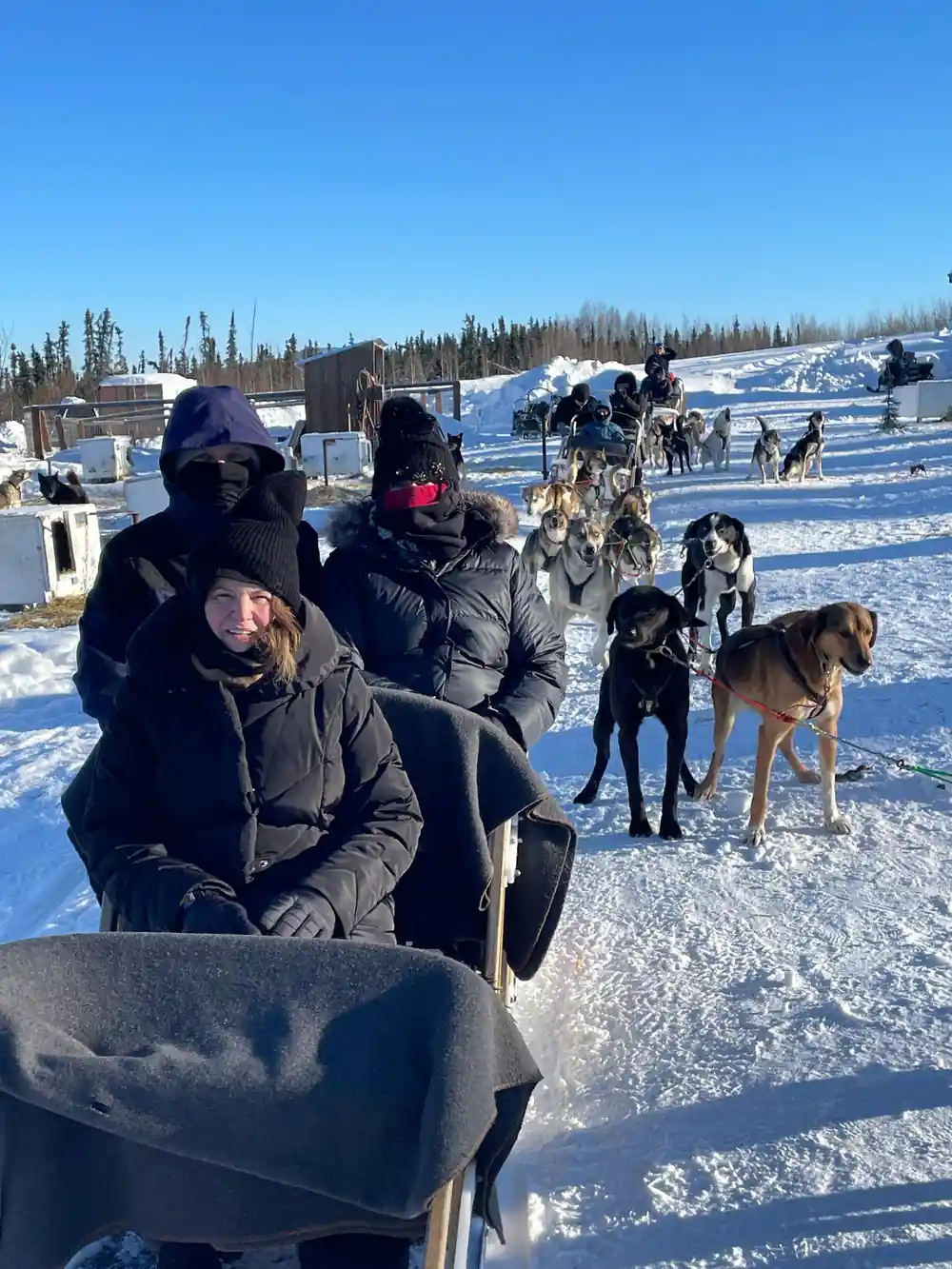 Group of visitors seated in sleds with teams and the yard behind