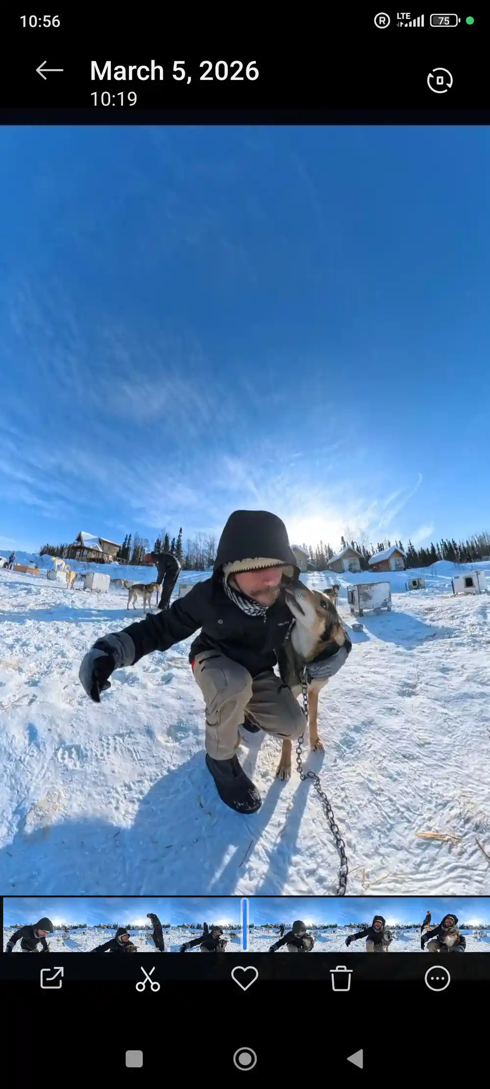 Guide greeting a dog in the kennel yard with the sun low behind
