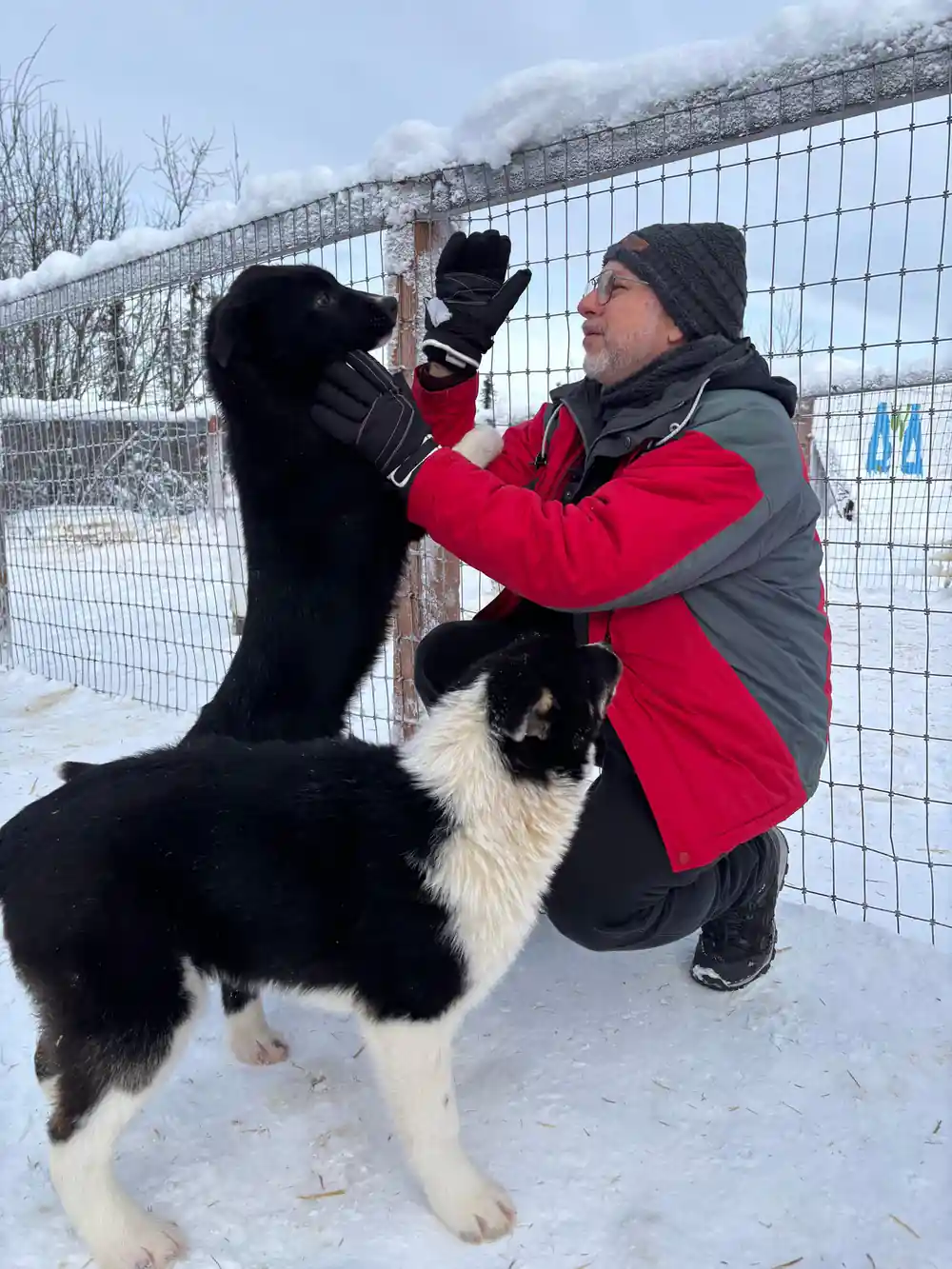 Guide holding up a black puppy beside another young dog at the fence