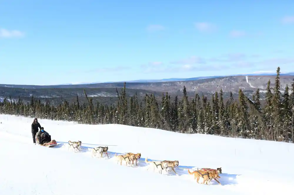 Team running across a wide snowfield with a forested ridge behind