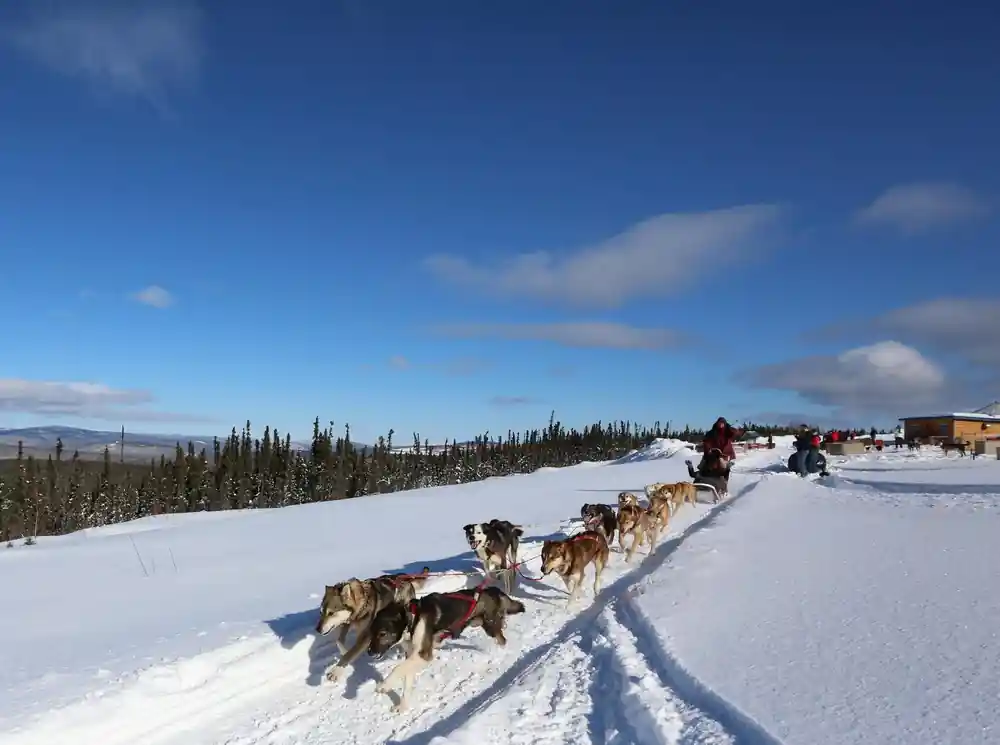 Team running along a packed trail with low hills beyond