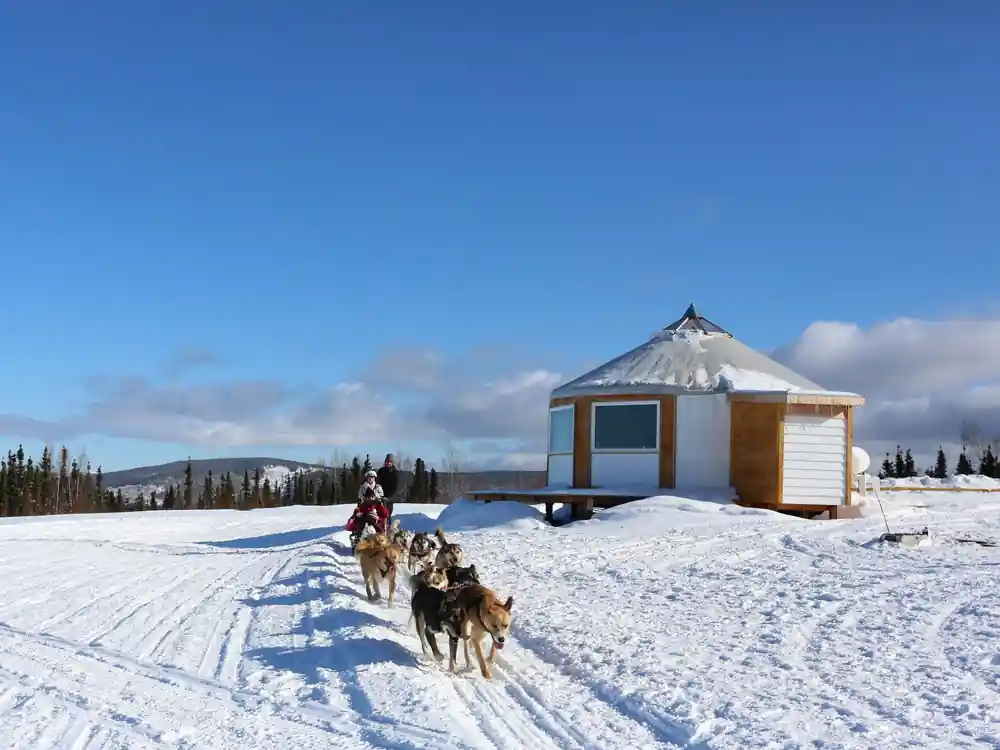 Team running past a round yurt under a blue winter sky