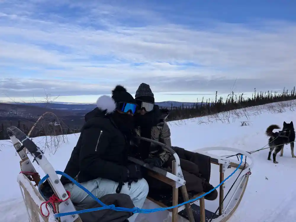 Two passengers sitting in a sled at twilight, seen from behind