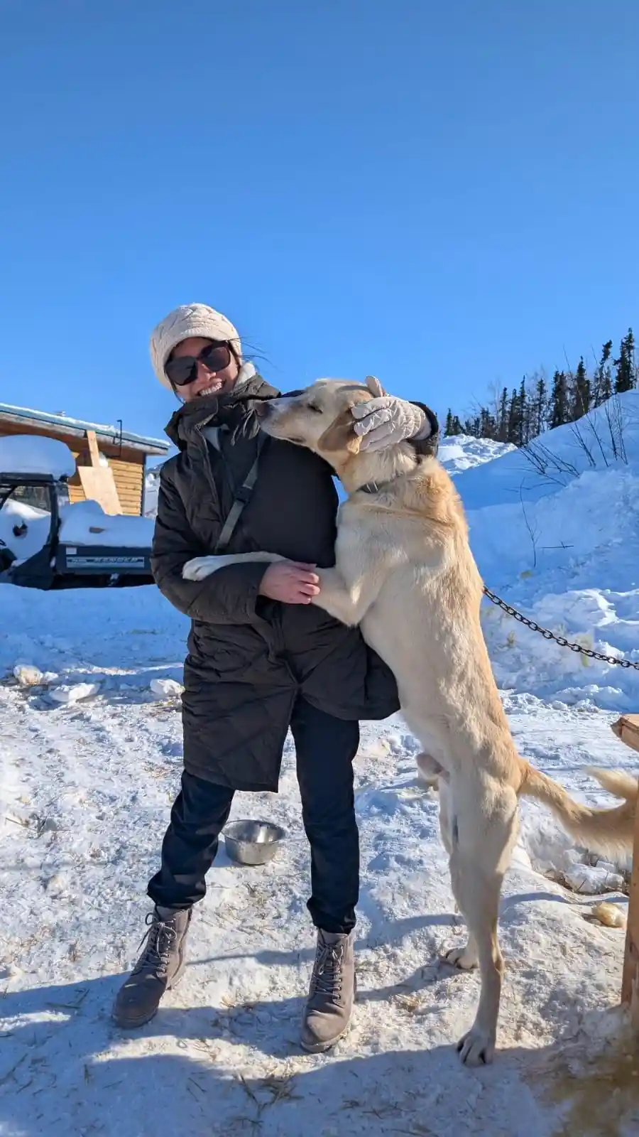 Visitor holding a pale dog up against their chest in the yard